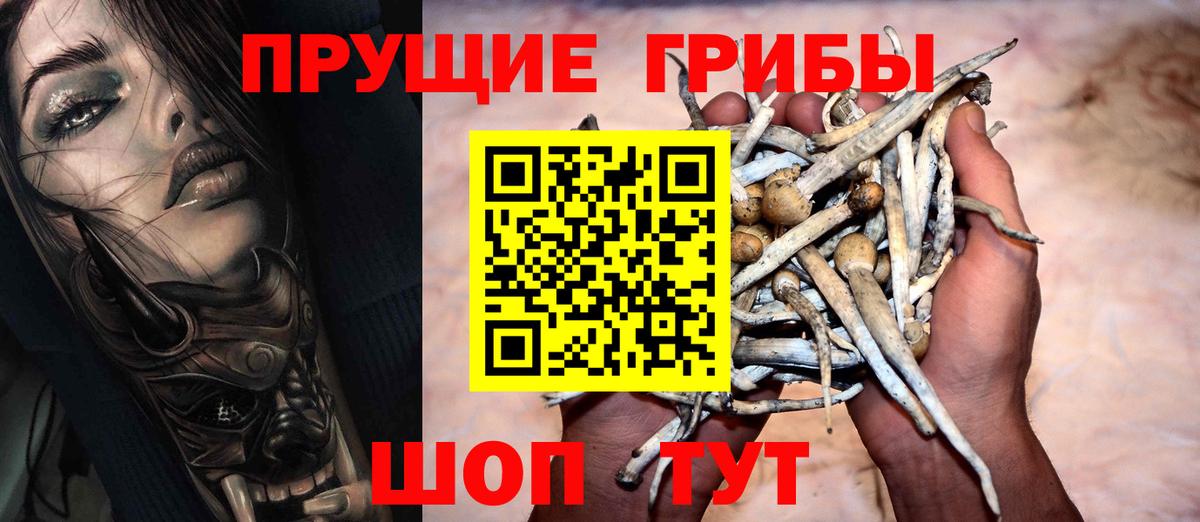 Галлюциногенные грибы MAGIC MUSHROOMS Сальск